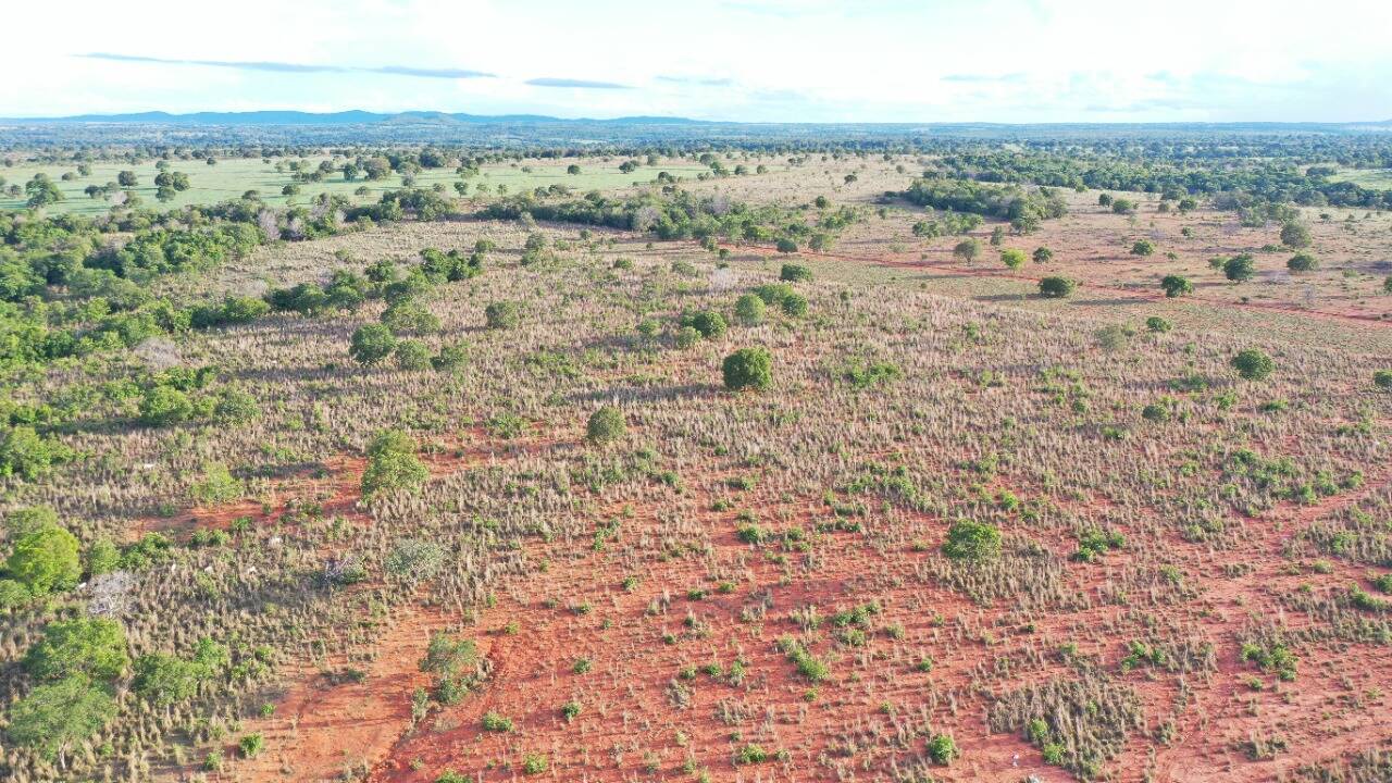 #114 - Fazenda para Venda em Porangatu - GO
