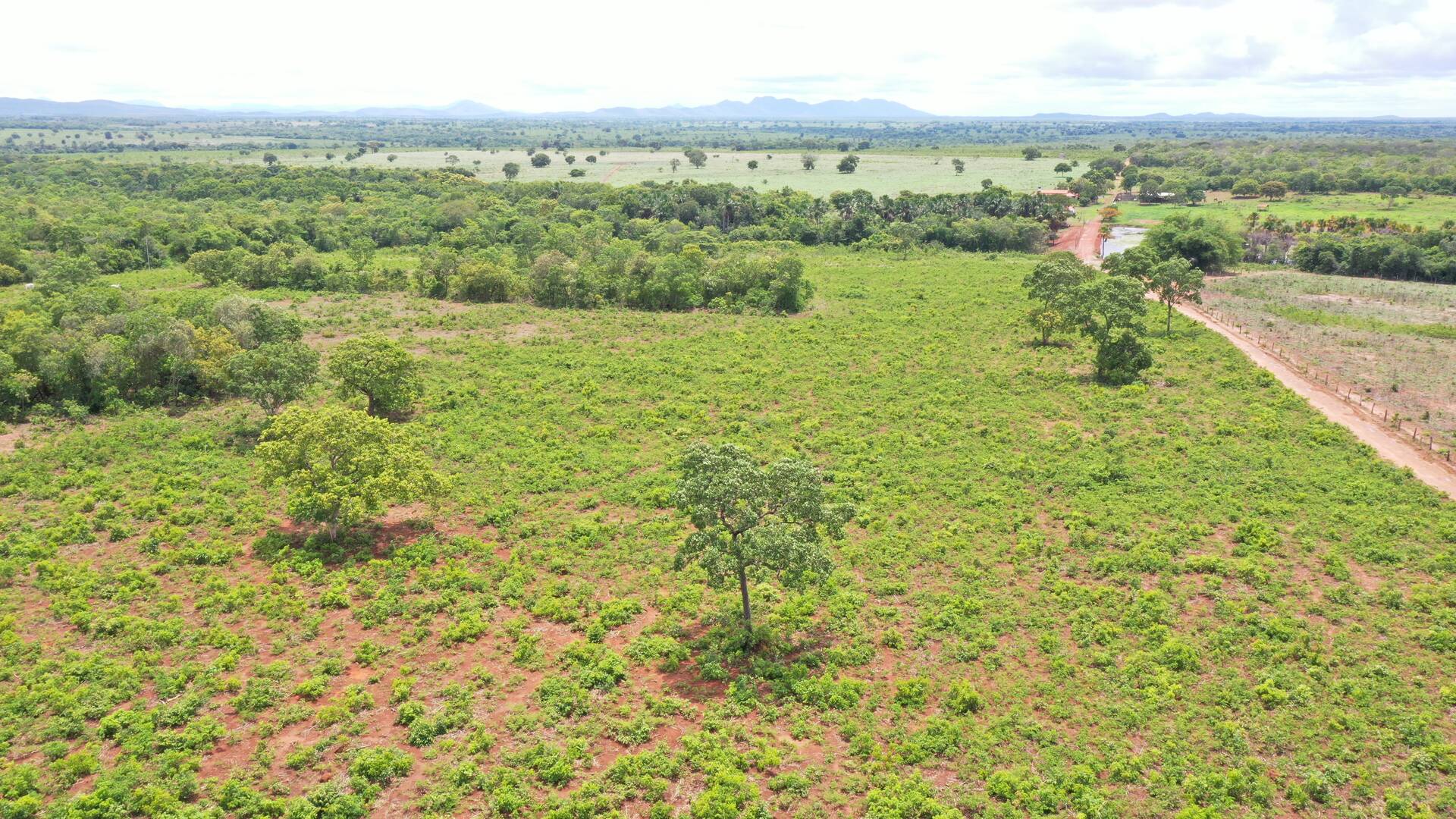 #85 - Fazenda para Venda em Jaú do Tocantins - TO