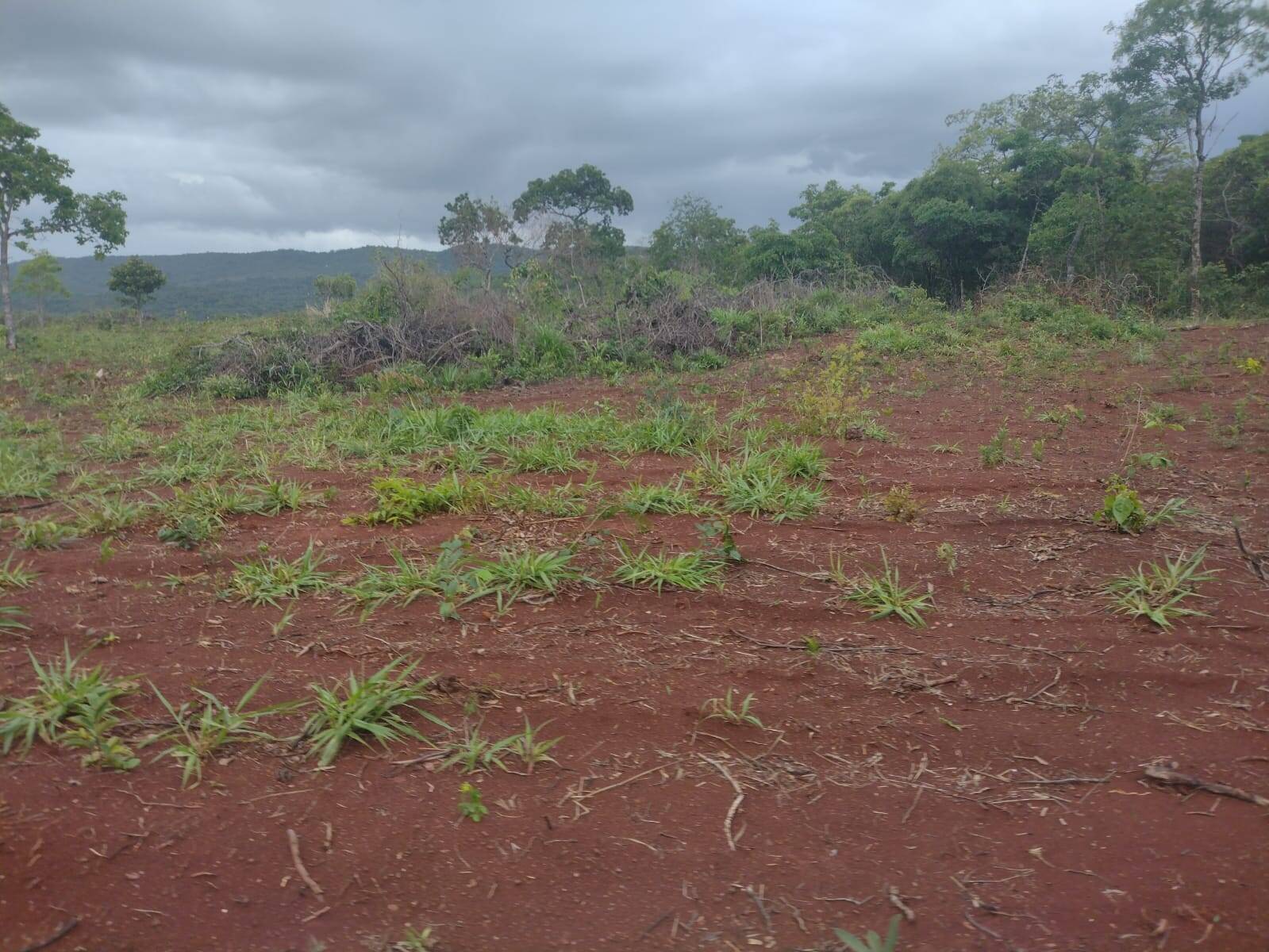 #118 - Fazenda para Venda em Niquelândia - GO