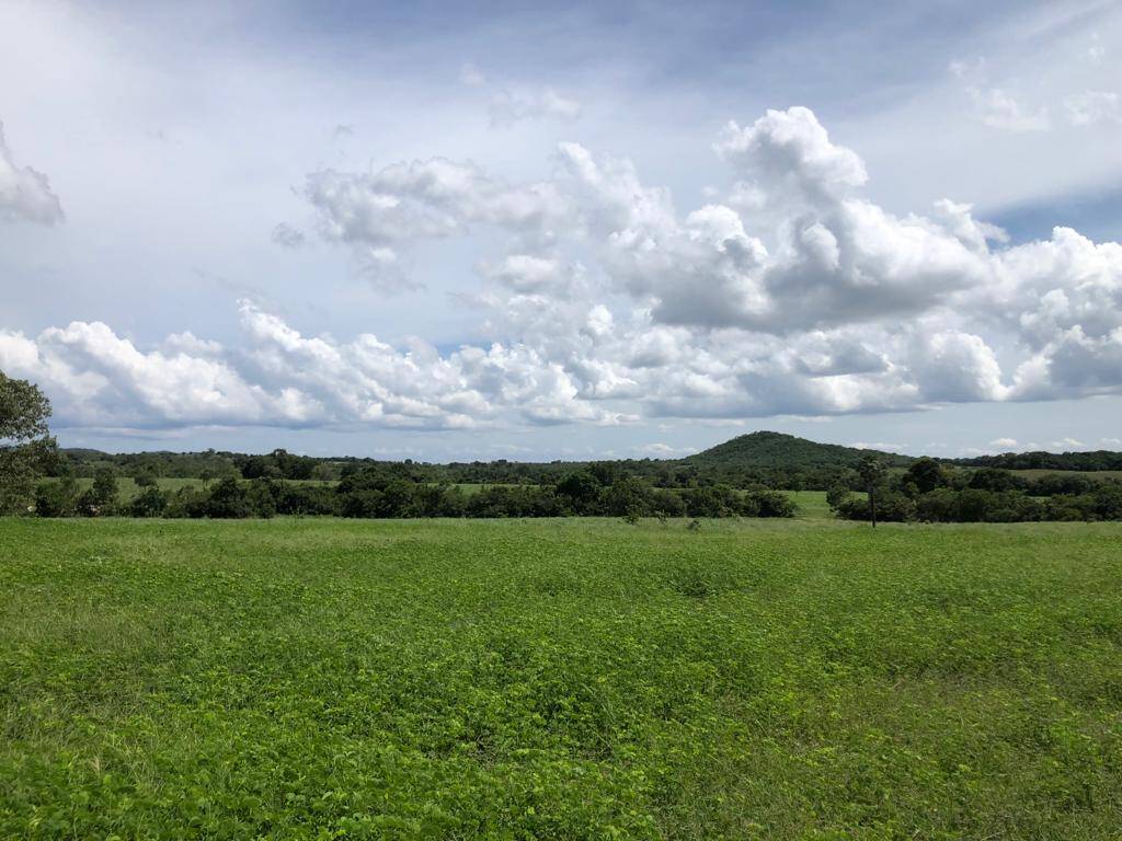 #116 - Fazenda para Venda em Crixás - GO