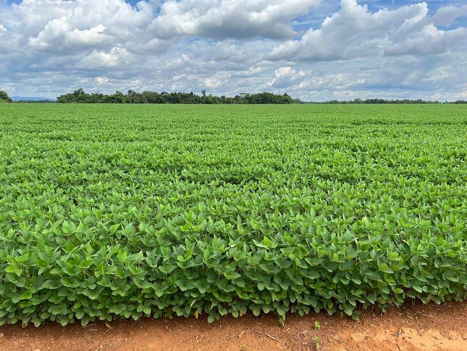 #121 - Fazenda para Venda em Paraíso do Tocantins - TO