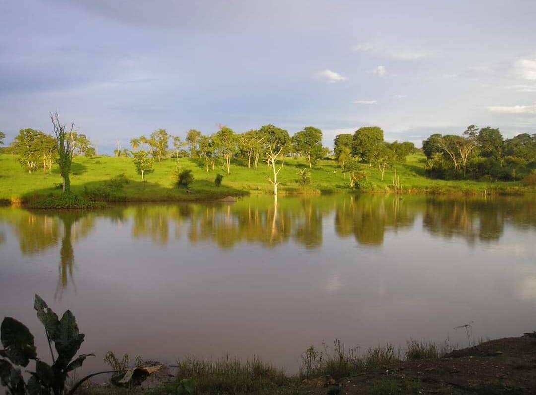 #123 - Fazenda para Venda em Formoso - GO