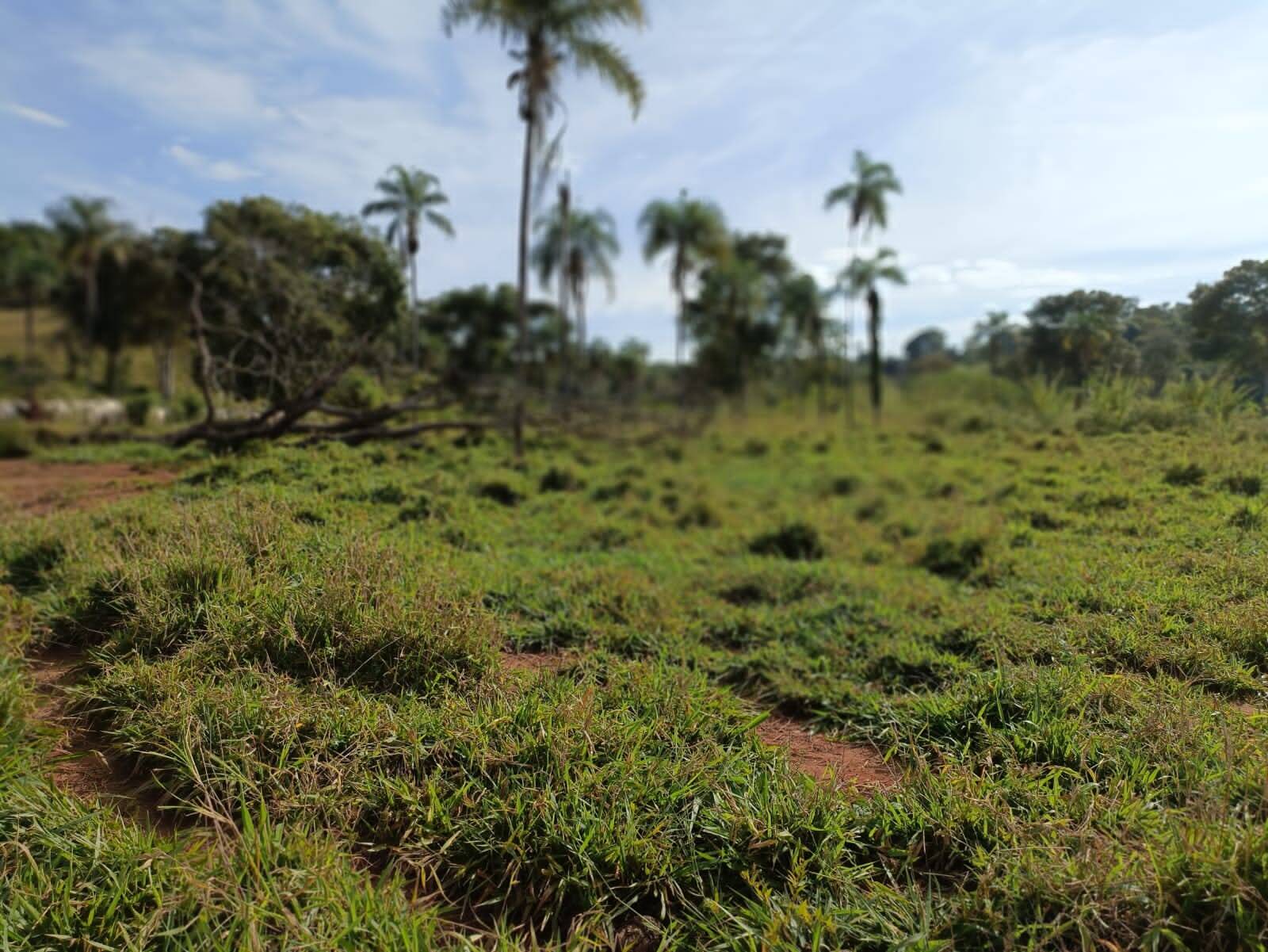 #124 - Fazenda para Venda em Campinaçu - GO