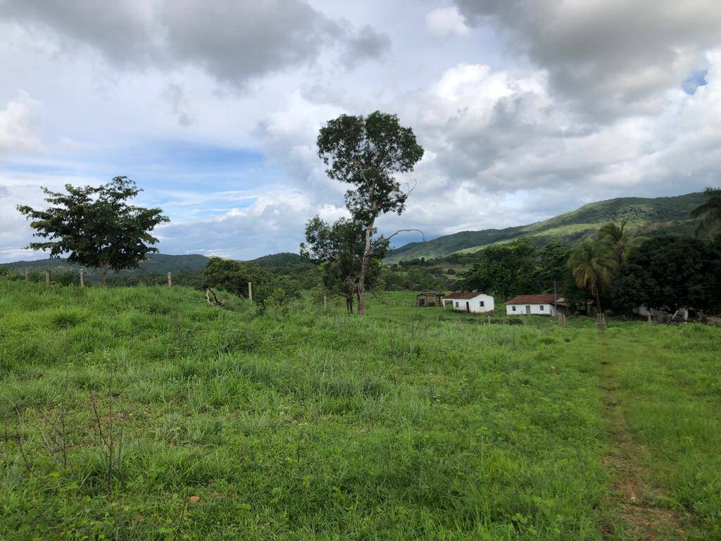 #127 - Fazenda para Venda em Nova Iguaçu de Goiás - GO