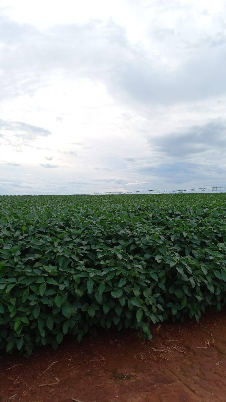 #130 - Fazenda para Venda em Goiânia - GO