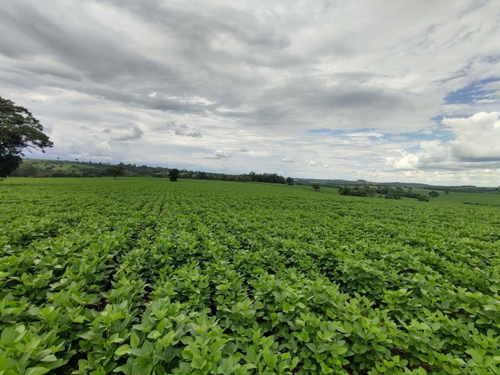 #139 - Fazenda para Venda em Formiga - MG