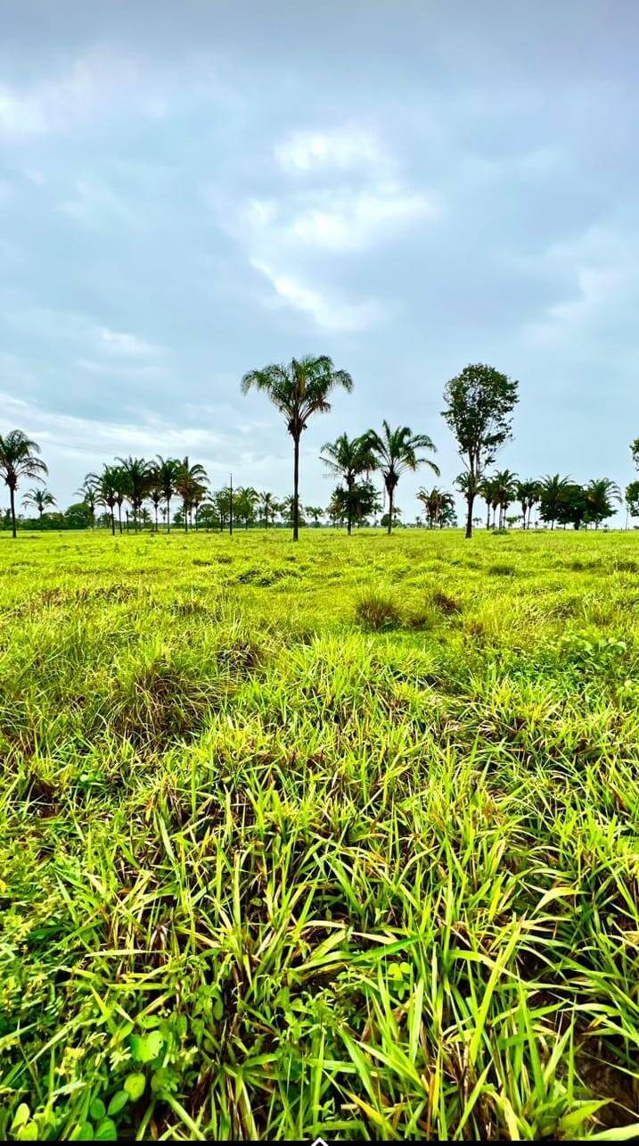 #141 - Fazenda para Venda em Wanderlândia - TO