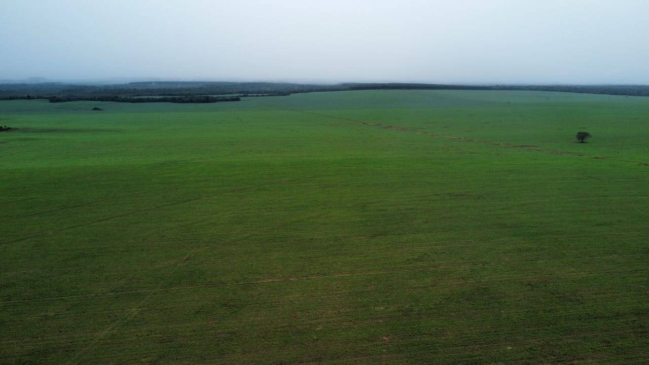 #147 - Fazenda para Venda em Araguaína - TO