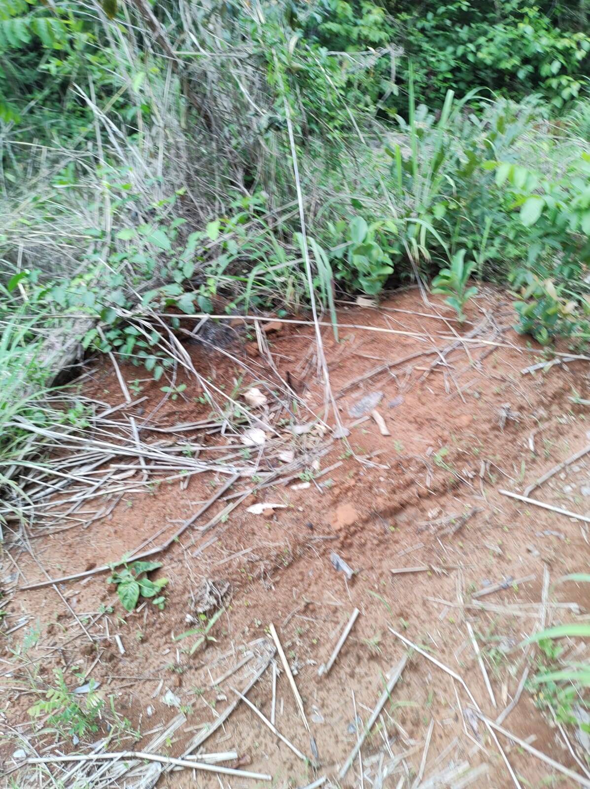 #151 - Fazenda para Venda em Niquelândia - GO