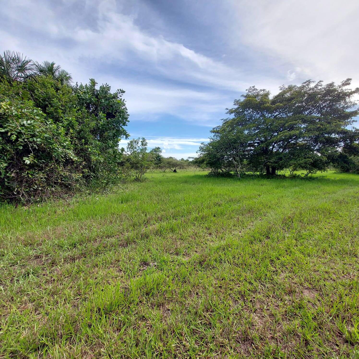 #168 - Fazenda para Venda em Santa Rosa do Tocantins - TO