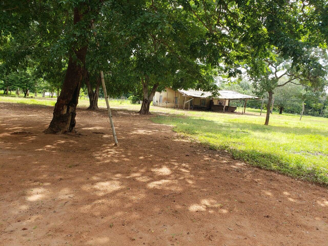 #173 - Fazenda para Venda em Palmas - TO