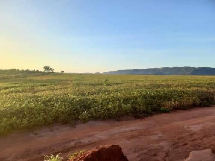 #174 - Fazenda para Venda em Uruaçu - GO