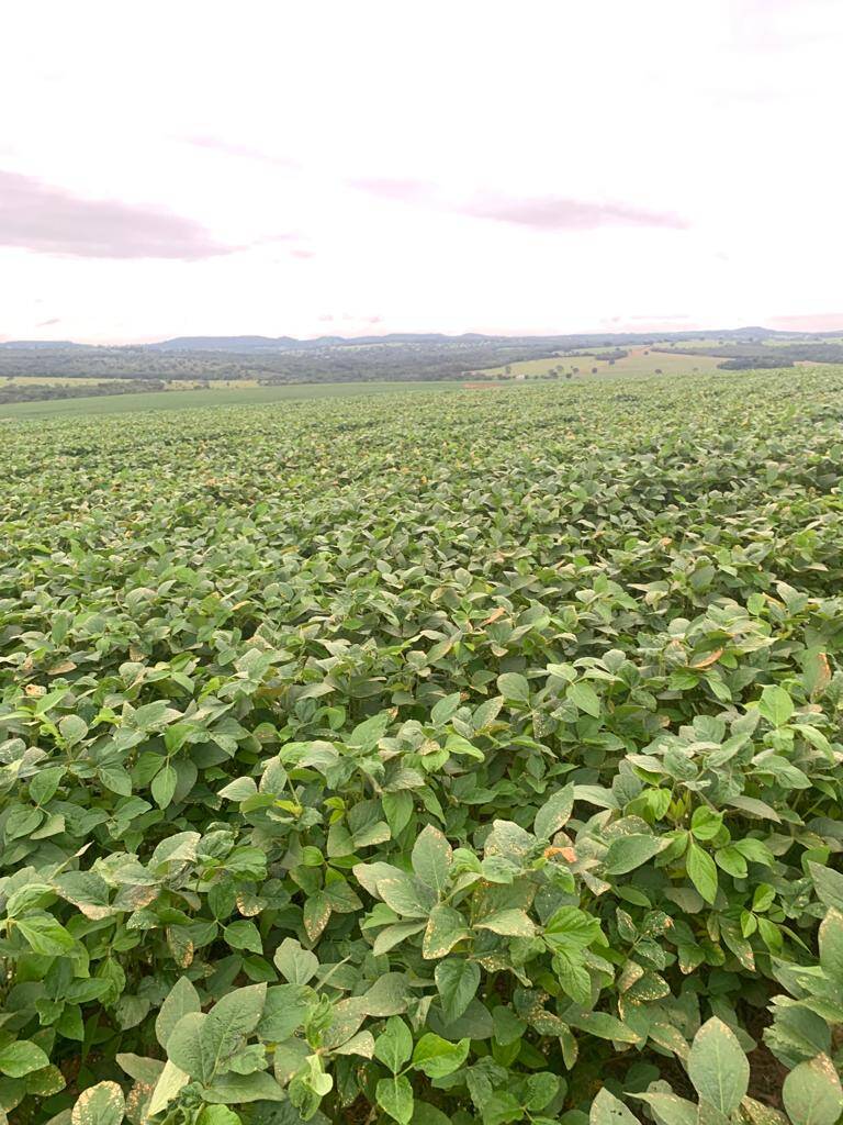 #193 - Fazenda para Venda em Pires do Rio - GO