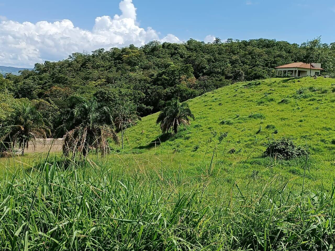 #194 - Fazenda para Venda em Itapuranga - GO
