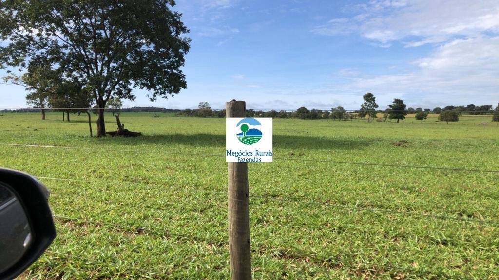 #197 - Fazenda para Venda em Campinorte - GO