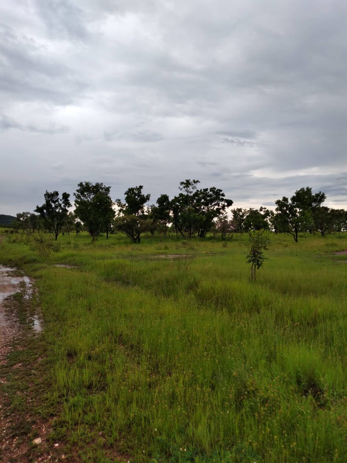 #206 - Fazenda para Venda em Taipas do Tocantins - TO