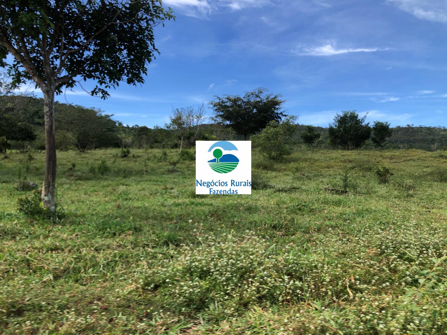 #207 - Fazenda para Venda em Uruaçu - GO