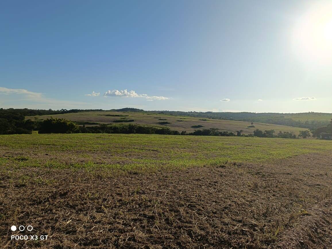 #202 - Fazenda para Venda em Ipameri - GO
