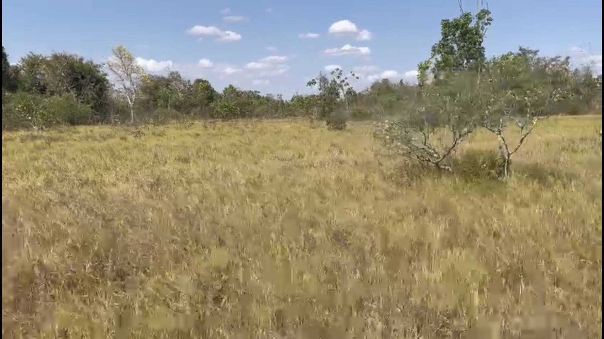 #231 - Fazenda para Venda em Porangatu - GO