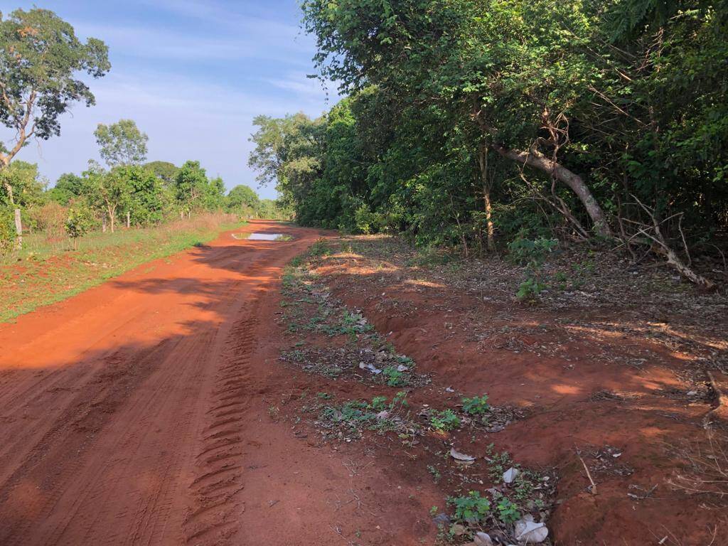 #235 - Fazenda para Venda em Porangatu - GO