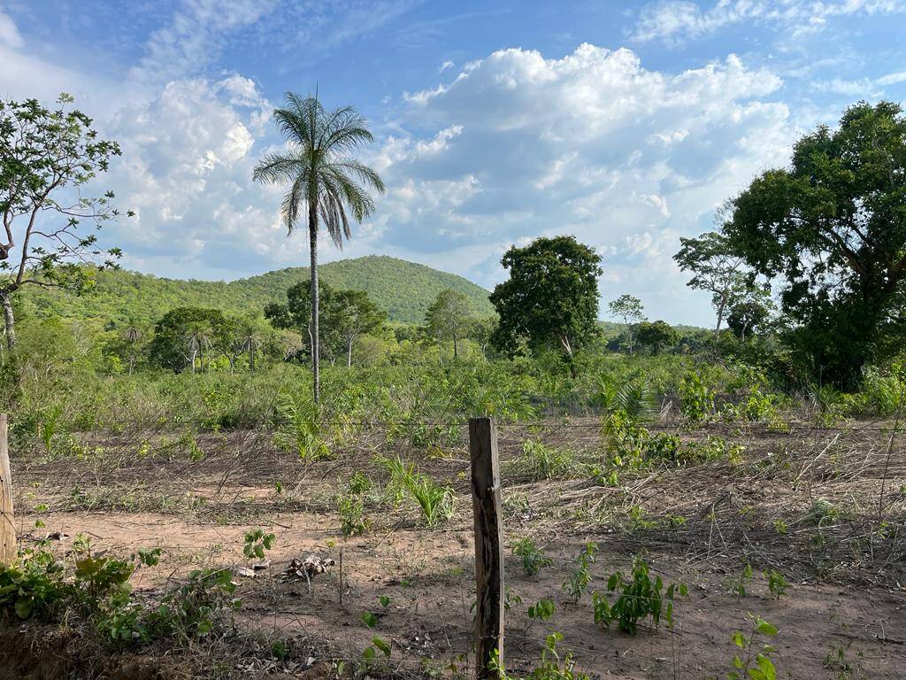 #236 - Fazenda para Venda em Jaú do Tocantins - TO