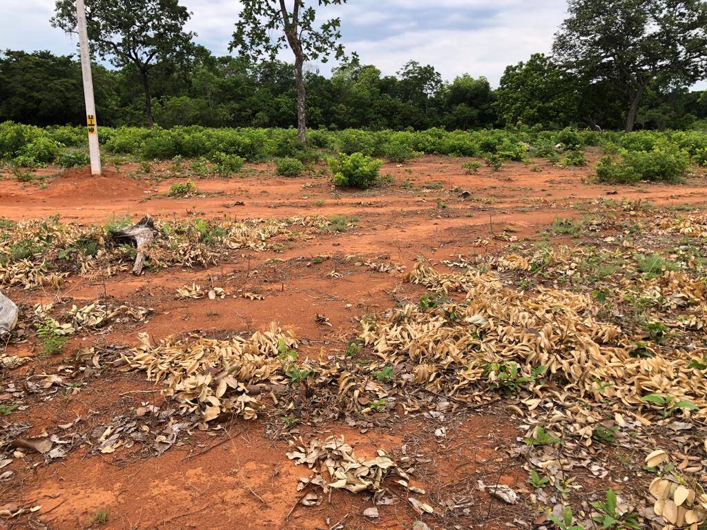 #239 - Fazenda para Venda em São Valério da Natividade - TO