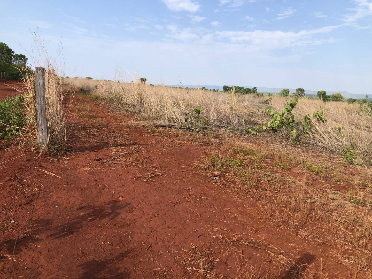 #242 - Fazenda para Venda em Palmeirópolis - TO