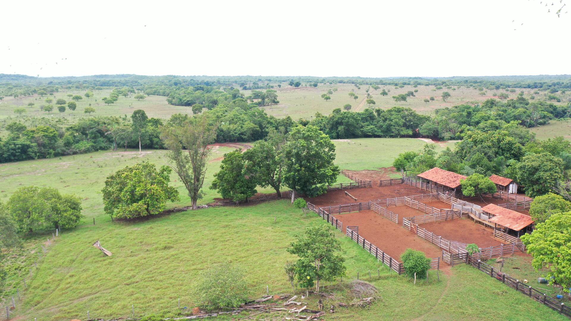 #245 - Fazenda para Venda em Palmeirópolis - TO
