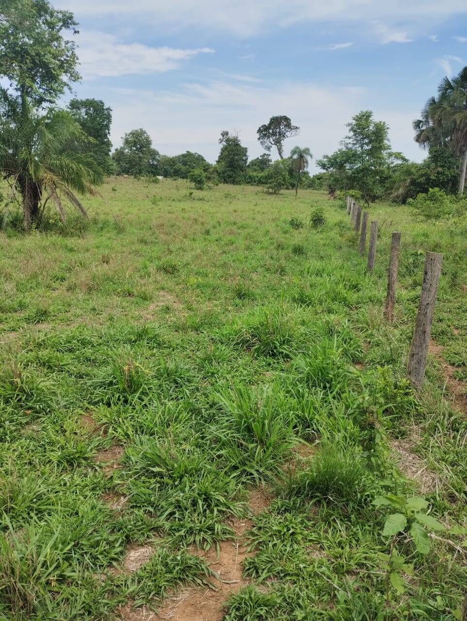 #247 - Fazenda para Venda em Paraíso do Tocantins - TO