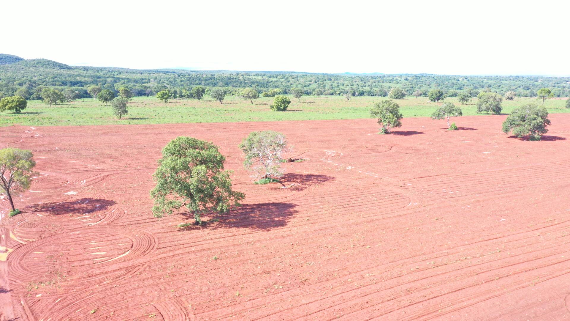 #255 - Fazenda para Venda em Porangatu - GO