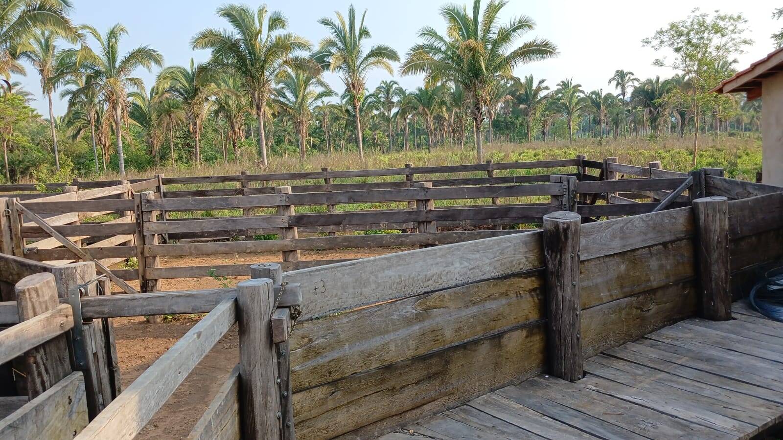 #257 - Fazenda para Venda em Minaçu - GO