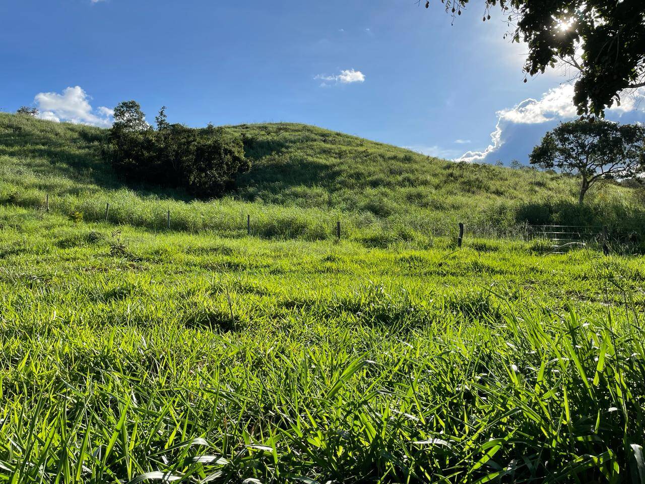 #265 - Fazenda para Venda em Campinaçu - GO