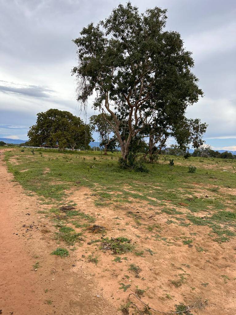 #273 - Fazenda para Venda em Colinas do Sul - GO