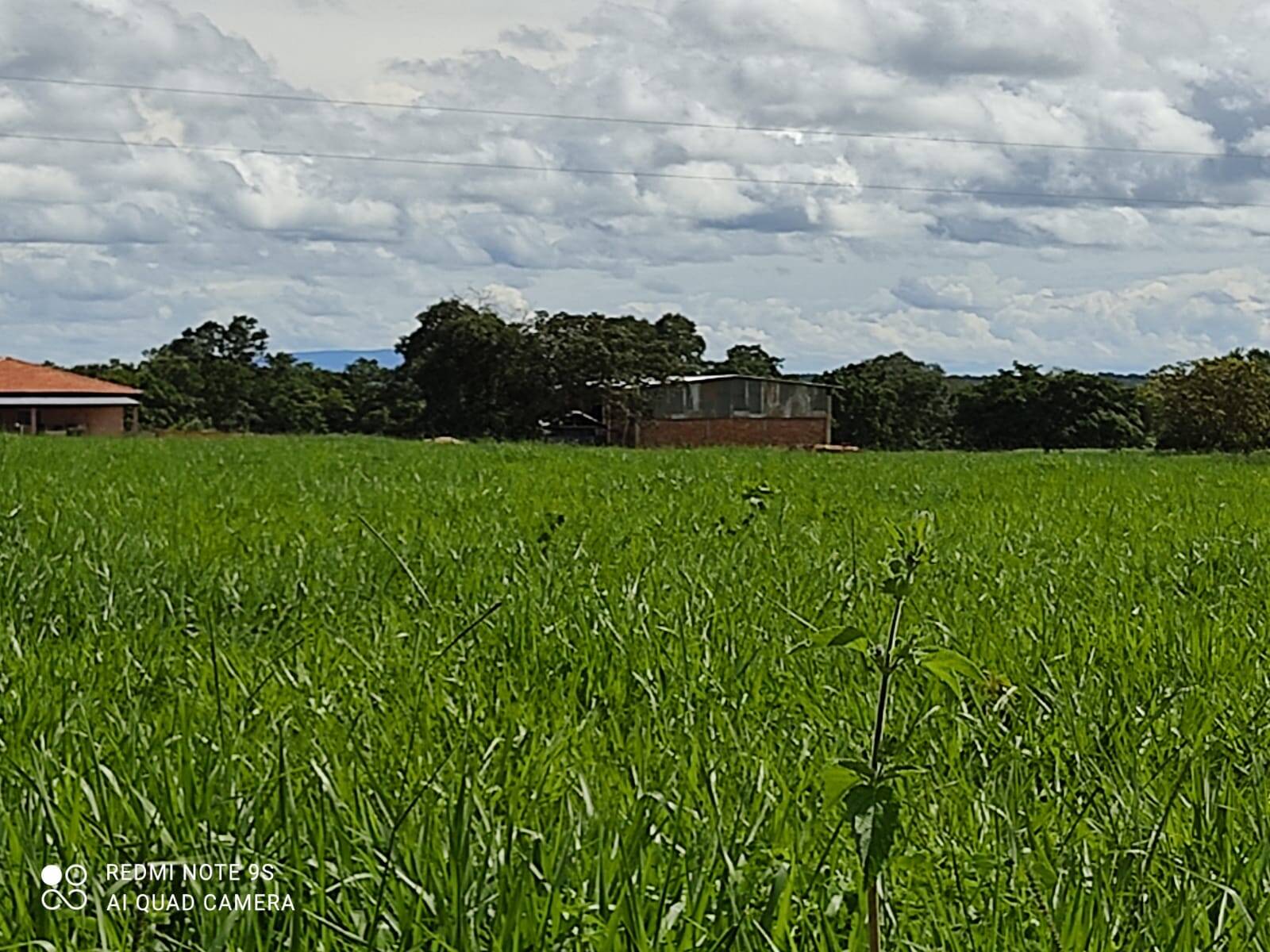 #276 - Fazenda para Venda em Montividiu do Norte - GO