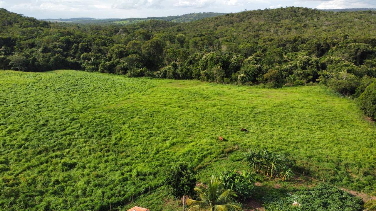 #280 - Fazenda para Venda em Urutaí - GO