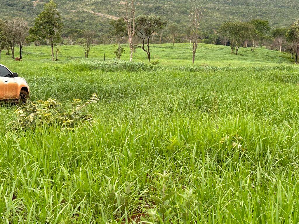 #281 - Fazenda para Venda em Pirenópolis - GO