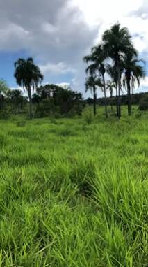 #286 - Fazenda para Venda em Palmeirópolis - TO