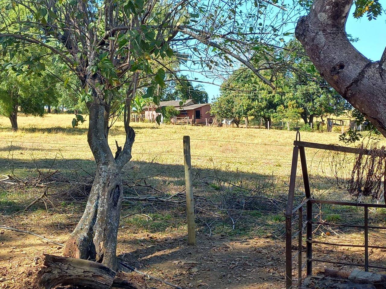 #287 - Fazenda para Venda em Anápolis - GO