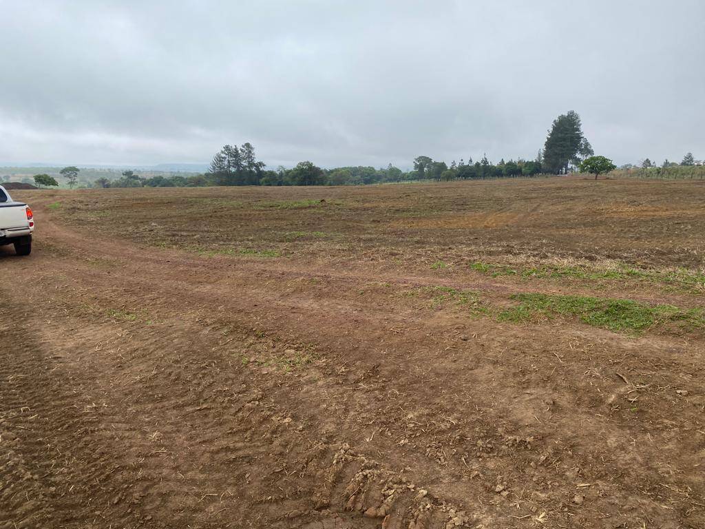 #289 - Fazenda para Venda em Cocalzinho de Goiás - GO