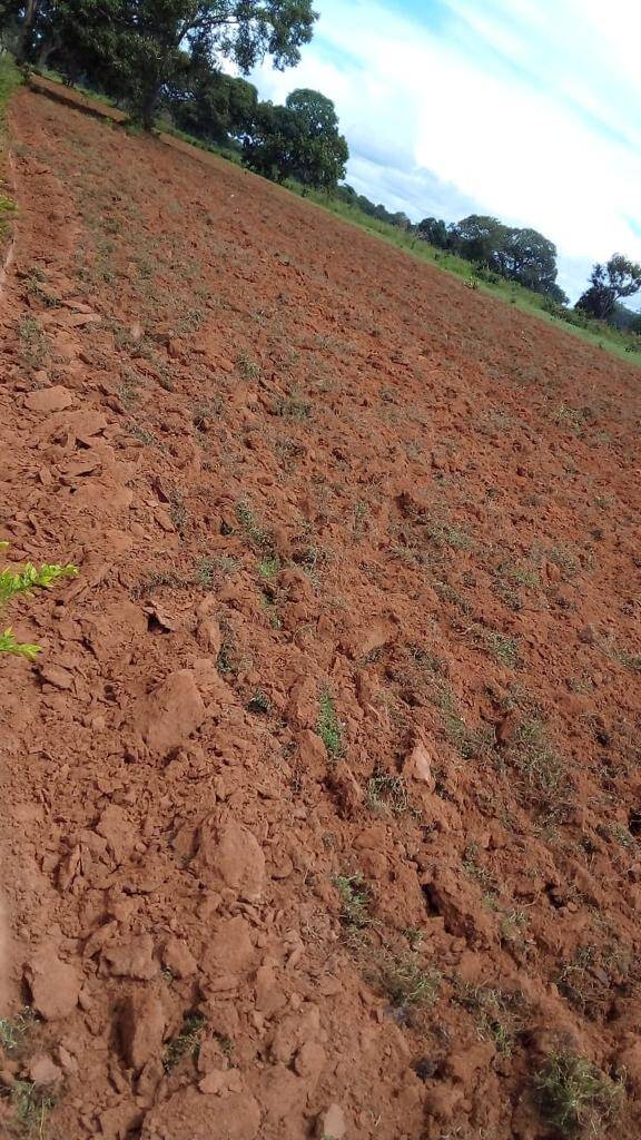 #293 - Fazenda para Venda em Aliança do Tocantins - TO