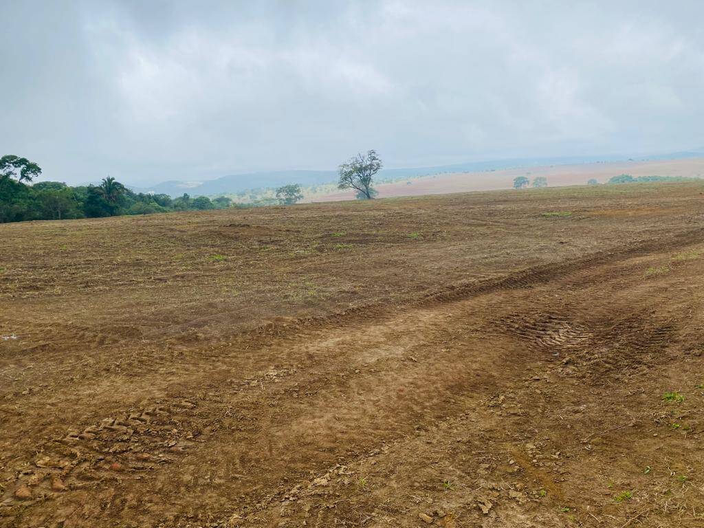 #303 - Fazenda para Venda em Cocalzinho de Goiás - GO