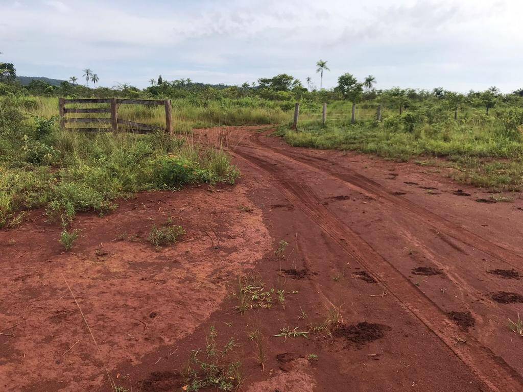 #308 - Fazenda para Venda em Cumaru do Norte - PA