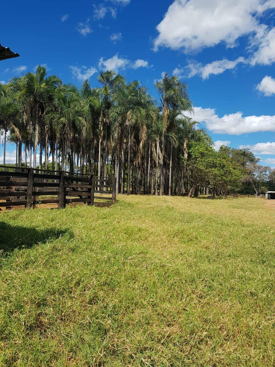 #320 - Fazenda para Venda em Água Fria de Goiás - GO