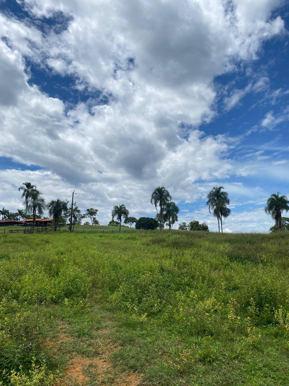 #321 - Fazenda para Venda em Padre Bernardo - GO