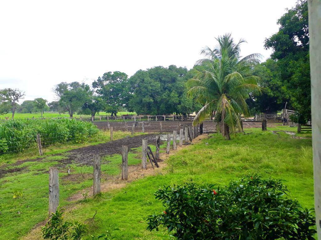 #335 - Fazenda para Venda em Cocalinho - MT