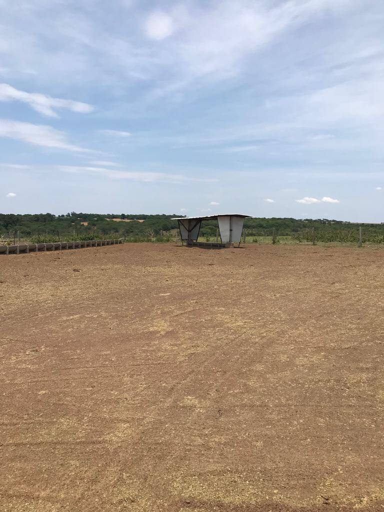 #338 - Fazenda para Venda em Santa Cruz de Goiás - GO