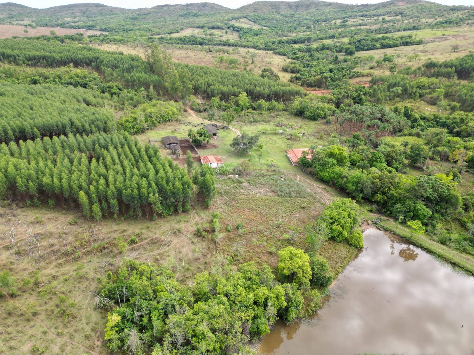 #339 - Fazenda para Venda em Silvânia - GO