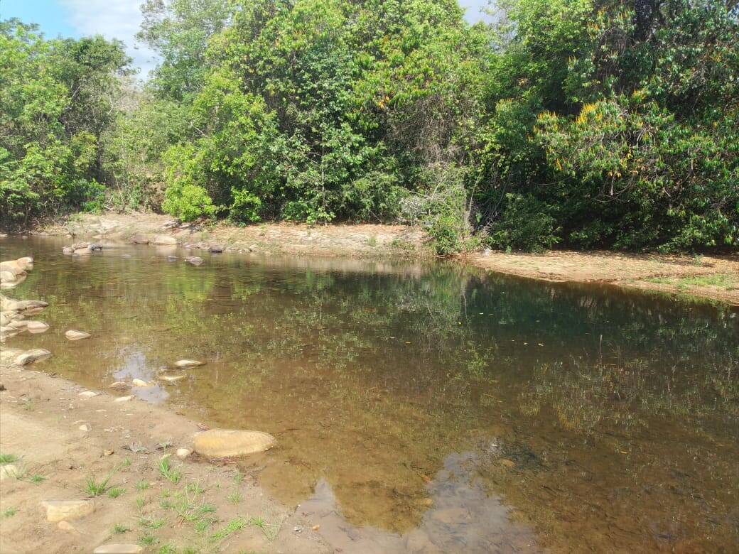 #340 - Fazenda para Venda em Pirenópolis - GO