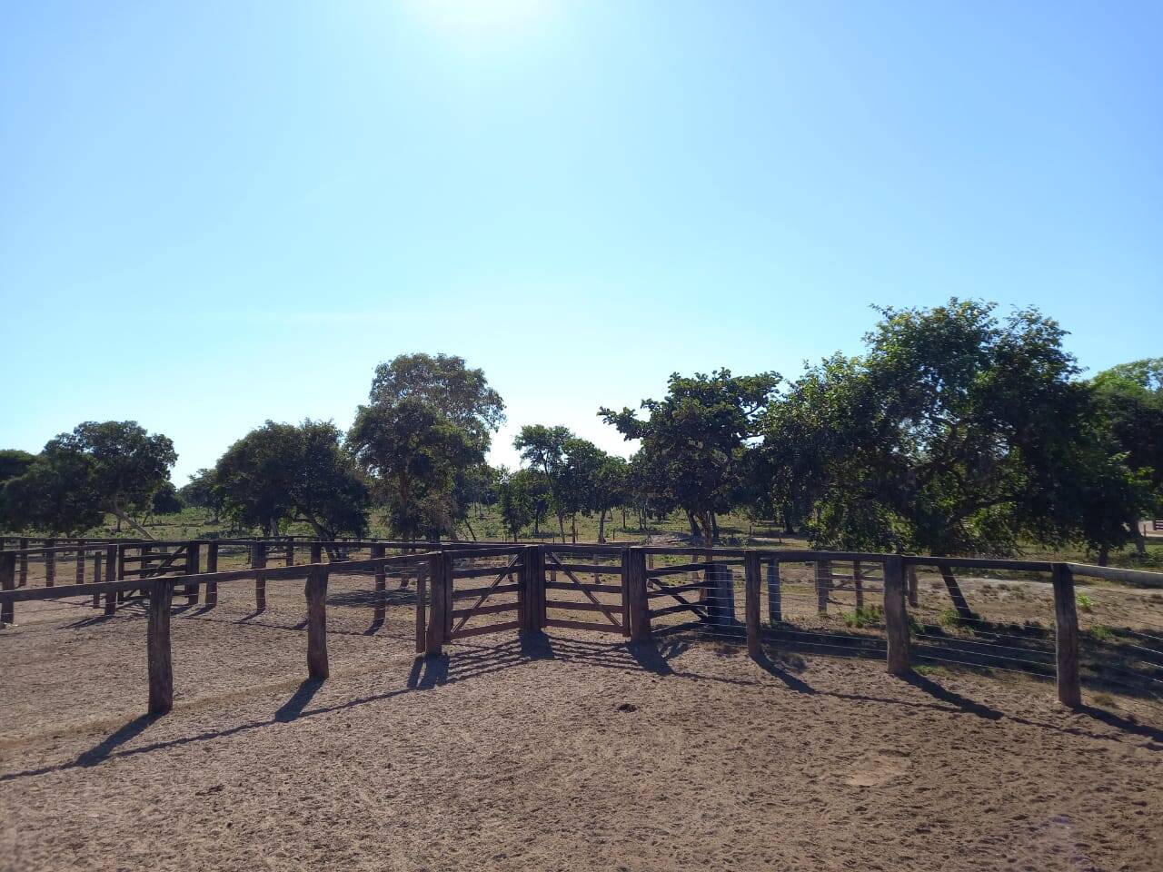 #341 - Fazenda para Venda em Cocalinho - MT