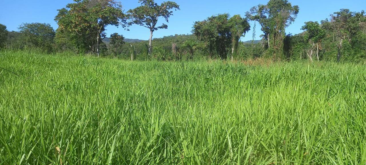 #349 - Fazenda para Venda em Bom Jardim de Goiás - GO